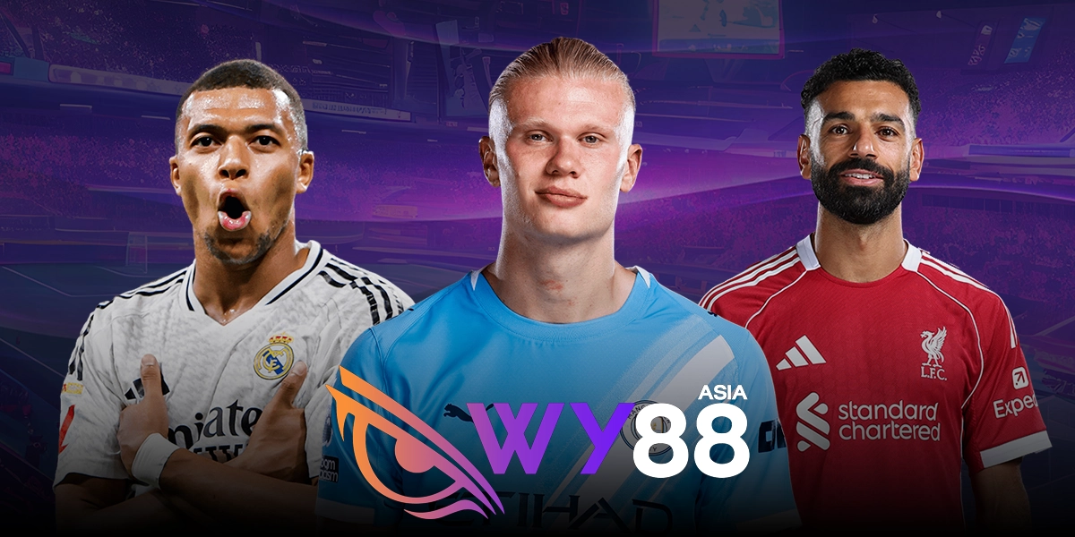 เดิมพันกีฬาบน WY88 มีให้เลือกเยอะ พร้อมกับอัตราการจ่ายที่สูง